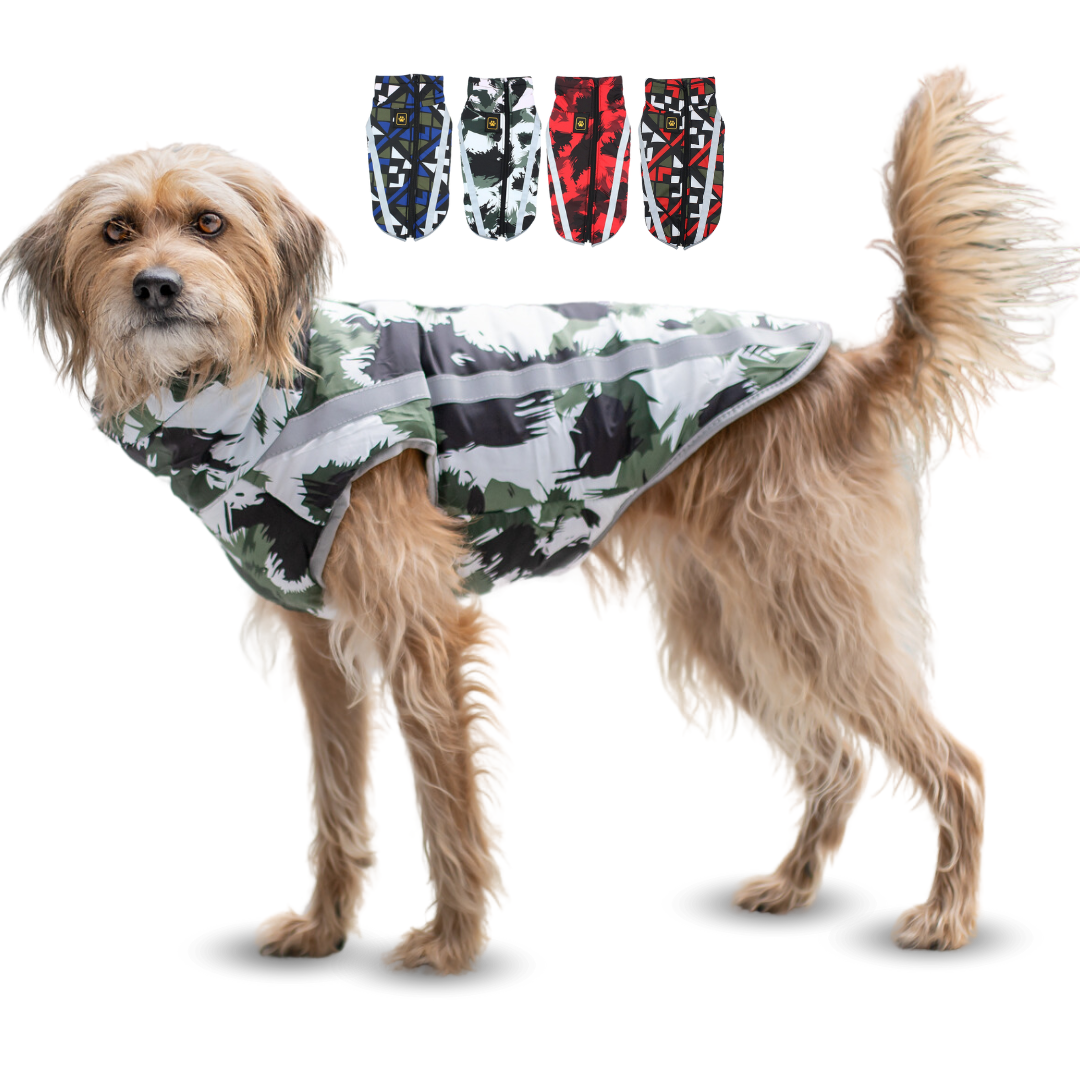 Active+ Thermo Hundemantel Schwarz – Wasserabweisend, Reflektierend, Mit Bauchschutz für Kälte und Nässe