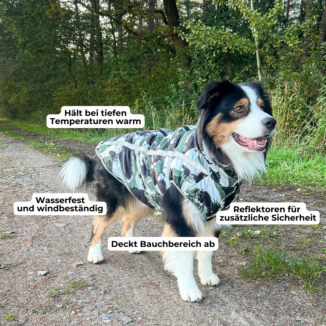 Active+ Thermo Hundemantel Schwarz – Wasserabweisend, Reflektierend, Mit Bauchschutz für Kälte und Nässe