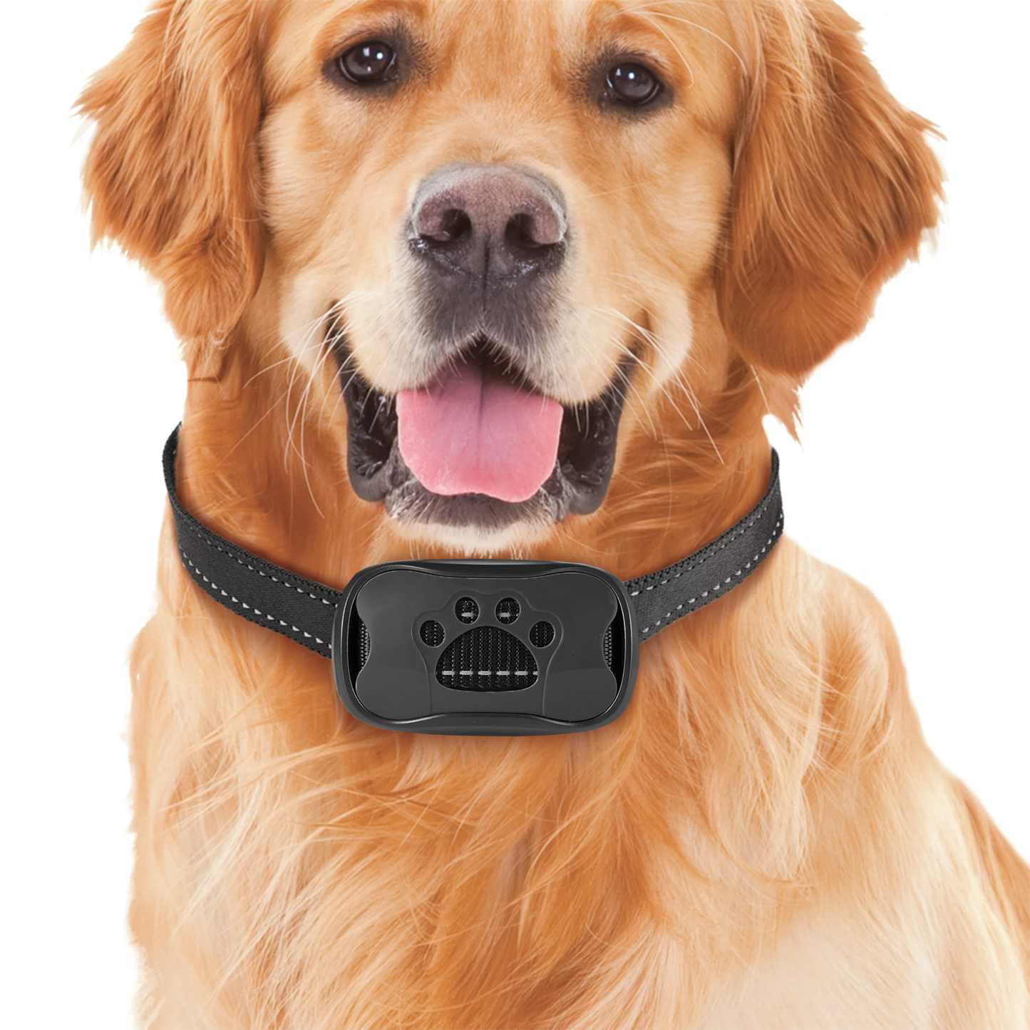 Anti-Bell-Halsband für Hunde – Schmerzfreie Schallwellentechnologie, angenehm zu tragen für alle Größen