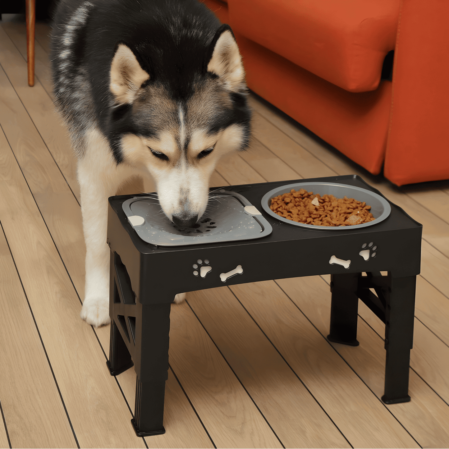Erhöhter Futterstand für Hunde mit Verstellbarer Höhe und Anti-Rutsch-Basis – Faltbare, Langsame Futter- und Wasserschüsseln