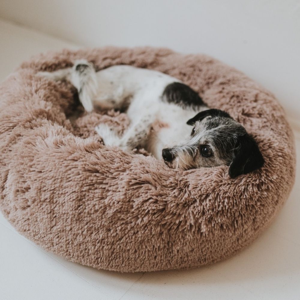 Plüschiges Hundebett Wolke mit Abnehmbarem Bezug – Extraweich und Hygienisch für Optimalen Komfort