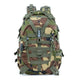 Motif camouflage jungle