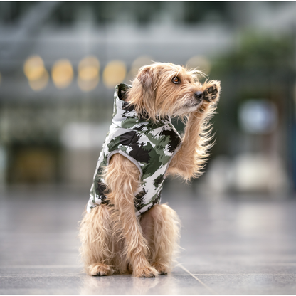 Active+ Thermo Hundemantel Schwarz – Wasserabweisend, Reflektierend, Mit Bauchschutz für Kälte und Nässe
