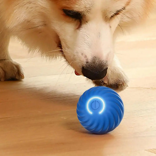 Automatischer Interaktiver Hundespielzeugball – USB-aufladbar, Bewegungsfördernd, Sicher, 10 cm, Für Hunde und Katzen