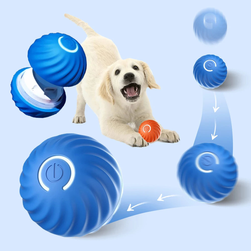 Automatischer Interaktiver Hundespielzeugball – USB-aufladbar, Bewegungsfördernd, Sicher, 10 cm, Für Hunde und Katzen