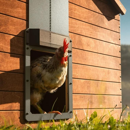 Automatischer Hühnerstall mit Lichtsensor – wetterfest, sicherer Schutz für Hühner, geräuschlos