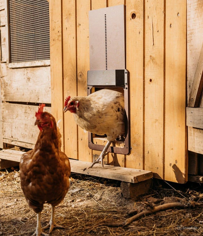 Automatischer Hühnerstall mit Lichtsensor – wetterfest, sicherer Schutz für Hühner, geräuschlos