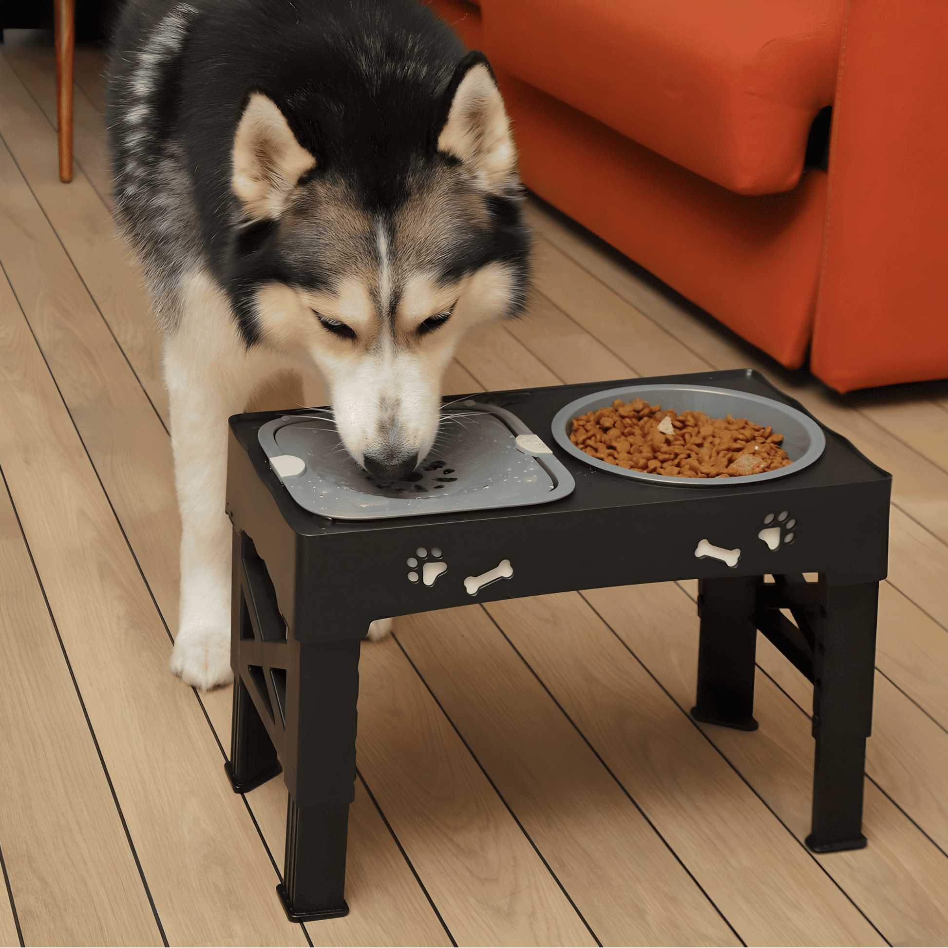 Erhöhter Futterstand für Hunde mit Verstellbarer Höhe und Anti-Rutsch-Basis – Faltbare, Langsame Futter- und Wasserschüsseln