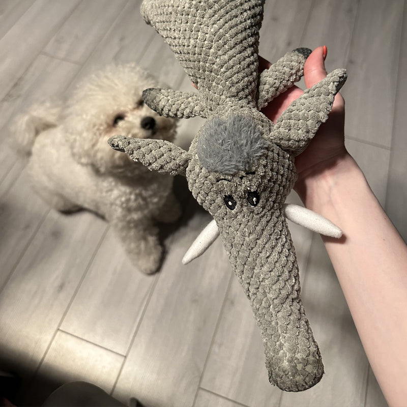 Extra Starkes Hundespielzeug für Aktive Kauer – Langlebiges Hundespieltau aus Haustierfreundlichem Material, Ideal für Alle Größen