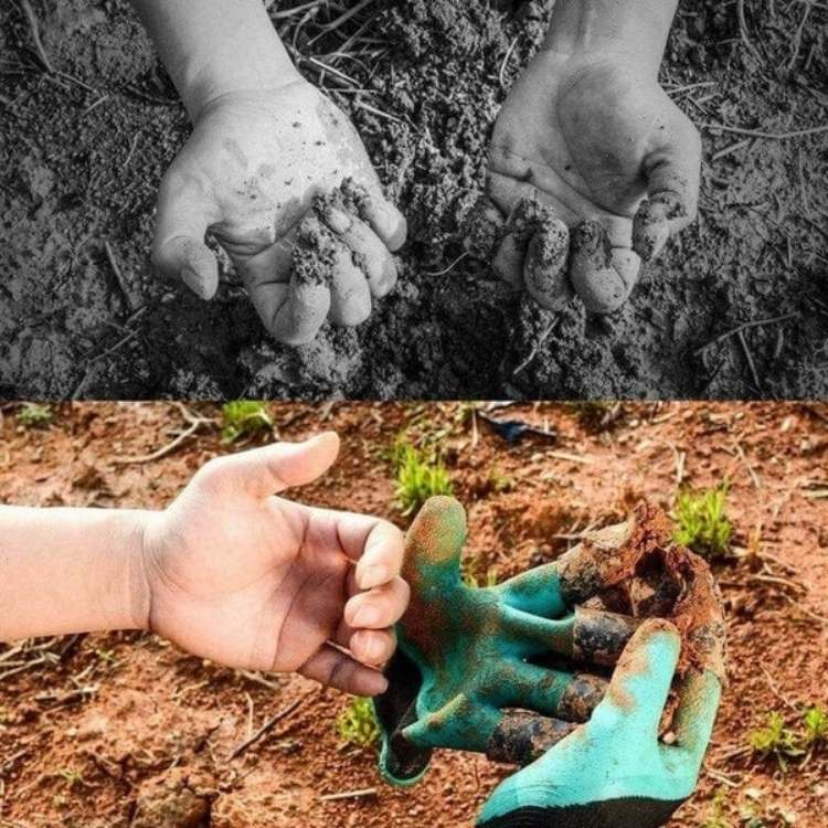 Gartenhandschuhe Mit Abnehmbaren Krallen | Gartenarbeit Zubehör Für Erwachsene