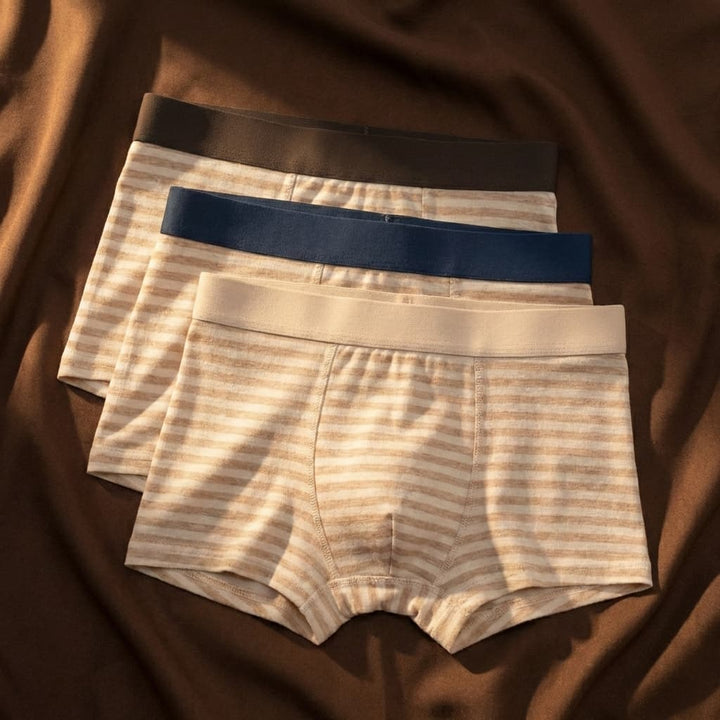 Herren Boxer Briefs Set Mit Klassischer Passform | Basic Kollektion