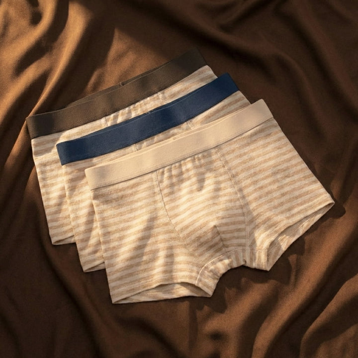 Herren Boxer Briefs Set Mit Klassischer Passform | Basic Kollektion