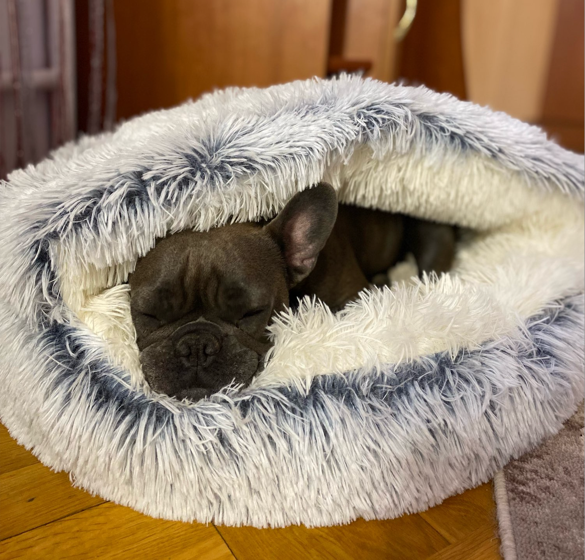 Kuscheliges Hundebett im Höhlenstil mit Antirutschboden – Plüsch Kissen für Hunde, Maschinenwaschbar, Verschiedene Größen und Farben