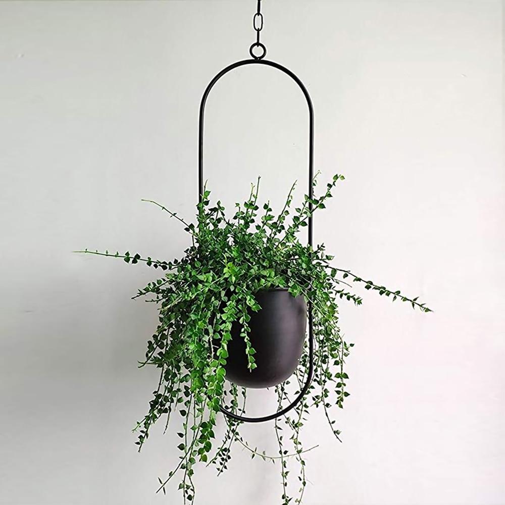 Moderner Pflanzenhalter für Wandbegrünung – minimalistisches Design, runde und ovale Formen, inklusive Rahmen und Haken