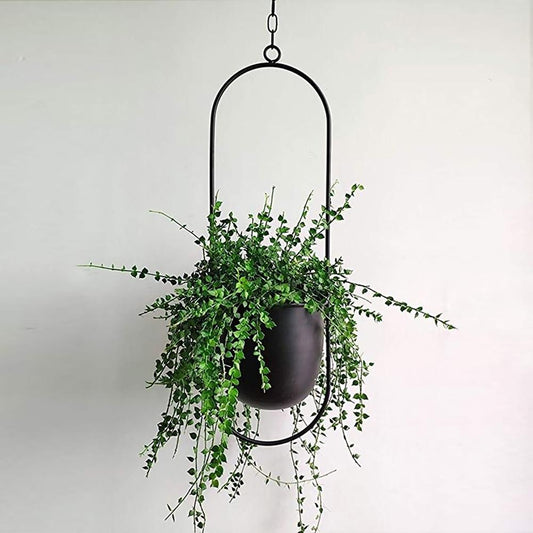 Moderner Pflanzenhalter für Wandbegrünung – minimalistisches Design, runde und ovale Formen, inklusive Rahmen und Haken