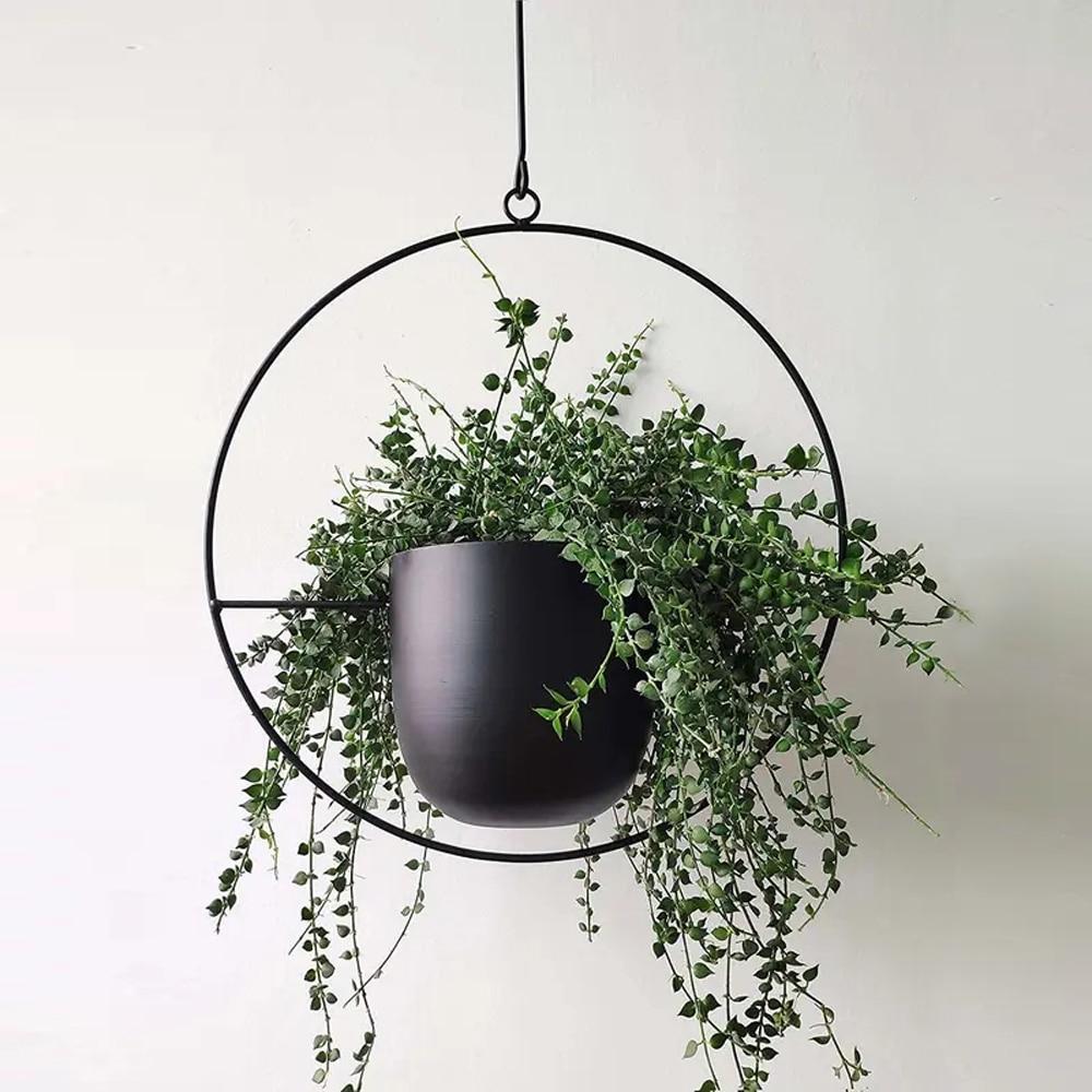 Moderner Pflanzenhalter für Wandbegrünung – minimalistisches Design, runde und ovale Formen, inklusive Rahmen und Haken