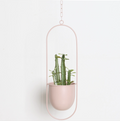 Moderner Pflanzenhalter für Wandbegrünung – minimalistisches Design, runde und ovale Formen, inklusive Rahmen und Haken