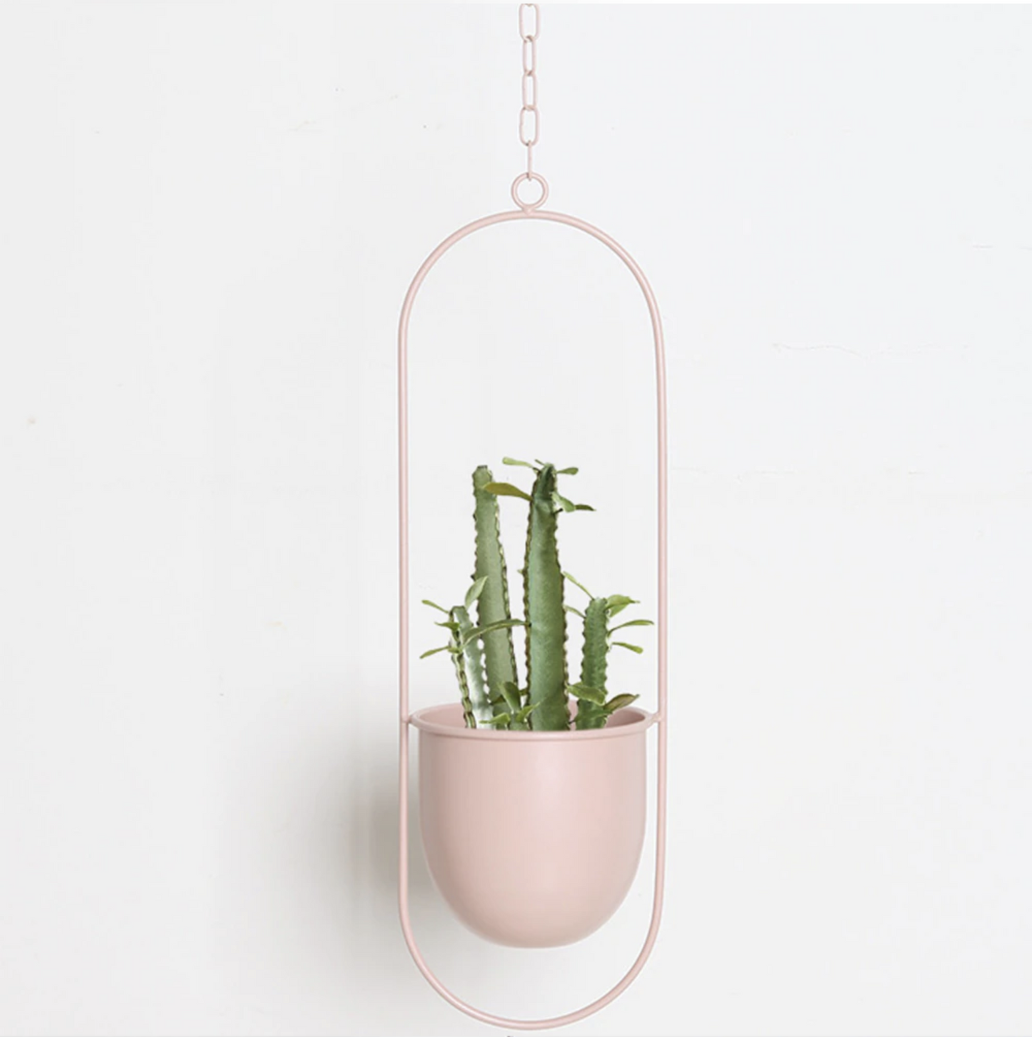 Moderner Pflanzenhalter für Wandbegrünung – minimalistisches Design, runde und ovale Formen, inklusive Rahmen und Haken