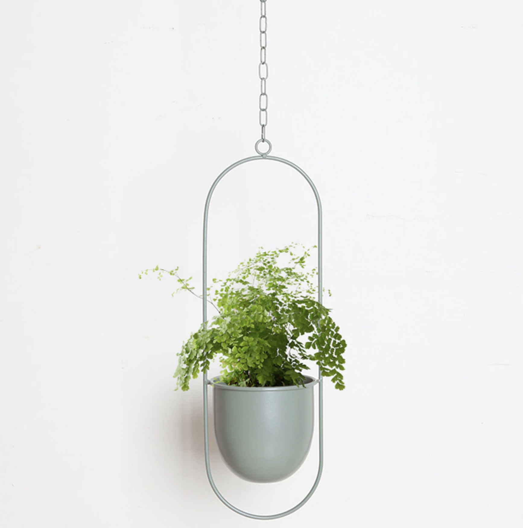 Moderner Pflanzenhalter für Wandbegrünung – minimalistisches Design, runde und ovale Formen, inklusive Rahmen und Haken