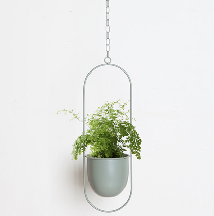 Moderner Pflanzenhalter für Wandbegrünung – minimalistisches Design, runde und ovale Formen, inklusive Rahmen und Haken
