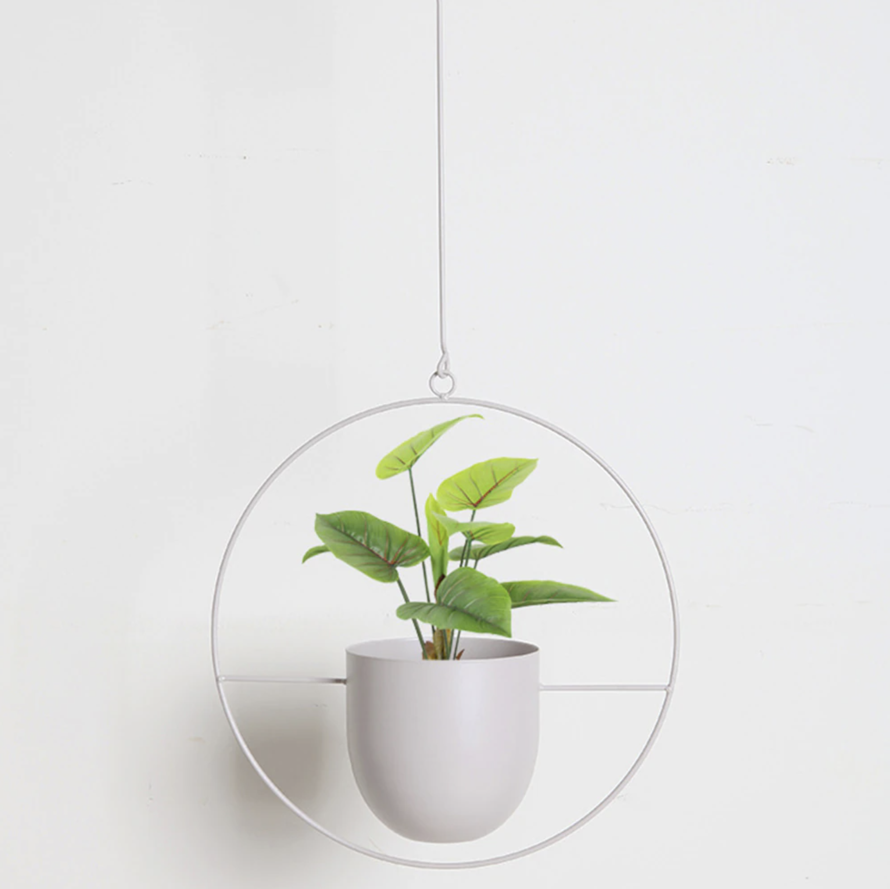 Moderner Pflanzenhalter für Wandbegrünung – minimalistisches Design, runde und ovale Formen, inklusive Rahmen und Haken
