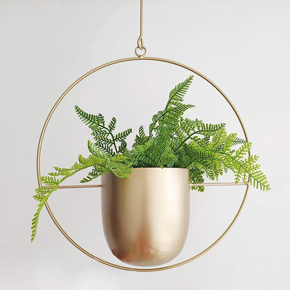 Moderner Pflanzenhalter für Wandbegrünung – minimalistisches Design, runde und ovale Formen, inklusive Rahmen und Haken