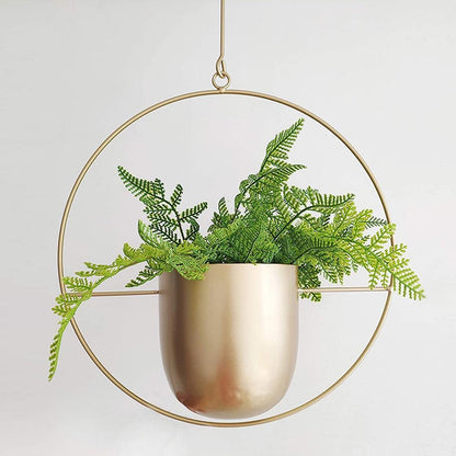 Moderner Pflanzenhalter für Wandbegrünung – minimalistisches Design, runde und ovale Formen, inklusive Rahmen und Haken