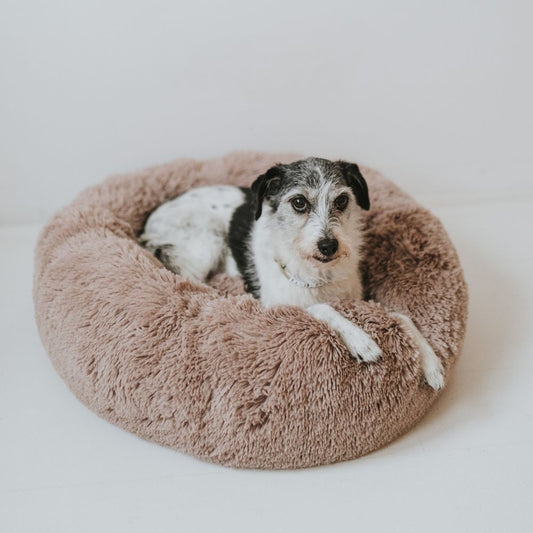 Plüschiges Hundebett Wolke mit Abnehmbarem Bezug – Extraweich und Hygienisch für Optimalen Komfort