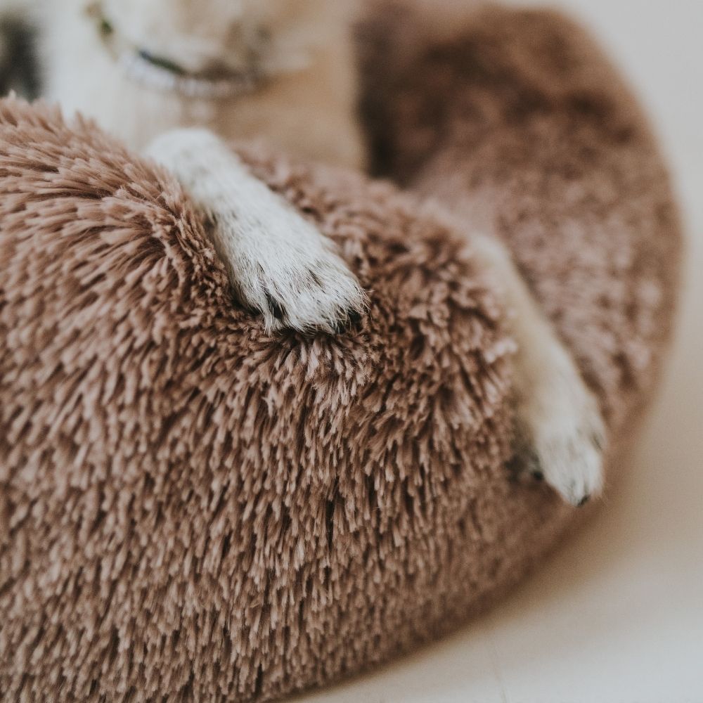 Plüschiges Hundebett Wolke mit Abnehmbarem Bezug – Extraweich und Hygienisch für Optimalen Komfort