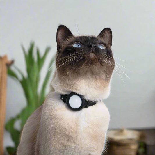 Premium Katzenhalsband mit AirTag-Integration – Verstellbar, Wetterfest, Reflektierend, für präzise Standortverfolgung