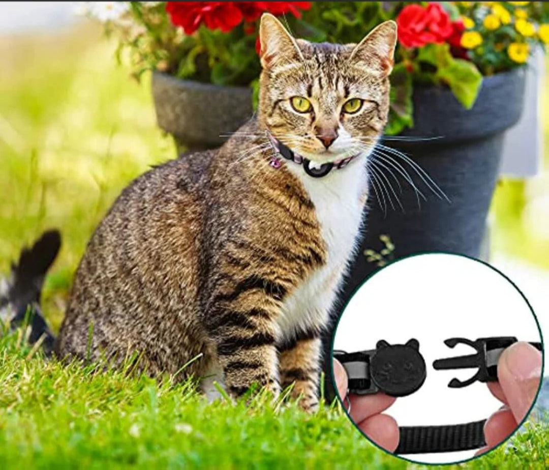 Premium Katzenhalsband mit AirTag-Integration – Verstellbar, Wetterfest, Reflektierend, für präzise Standortverfolgung