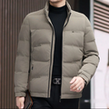 Pufferjacke für Herren – Regular Fit – Gesteppt, isoliert – Stehkragen – Leicht