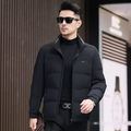 Pufferjacke für Herren – Regular Fit – Gesteppt, isoliert – Stehkragen – Leicht