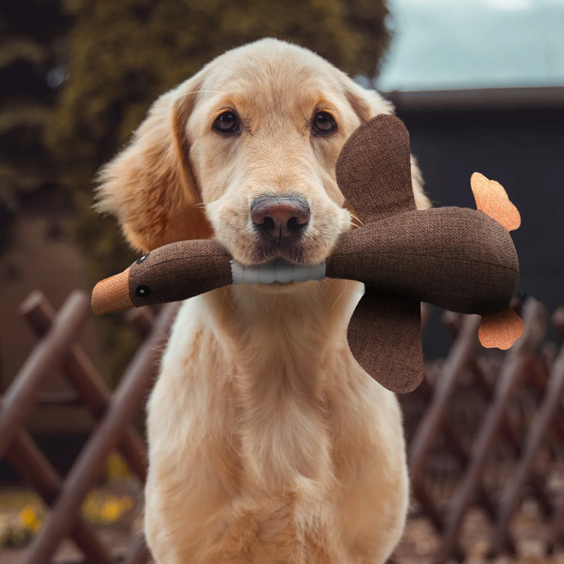 Robustes Hundespielzeug aus Naturmaterialien – Ideal für starke Kauer, Zahnpflege & Spaß für alle Hunderassen