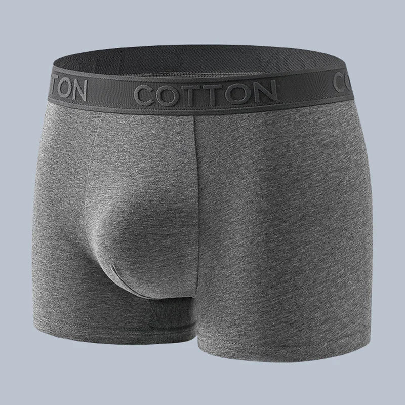 Men's Regular Fit Boxer Briefs Set | Everyday Essentials
