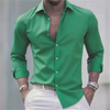 Camicia Uomo Slim Fit Manica Lunga Bottoni Colore Unito | Formale