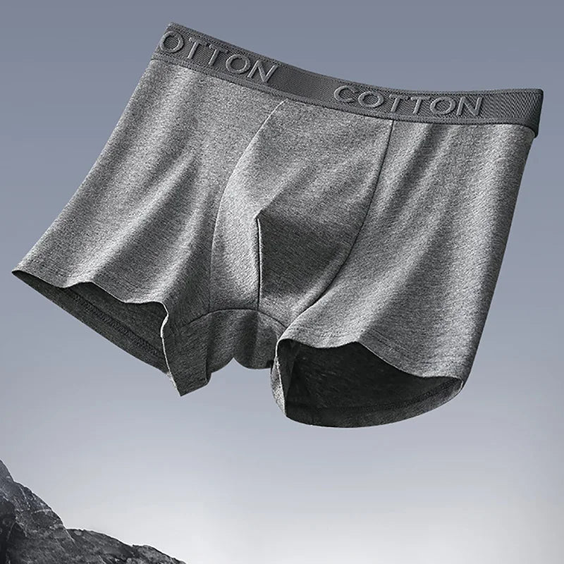 Men's Regular Fit Boxer Briefs Set | Everyday Essentials