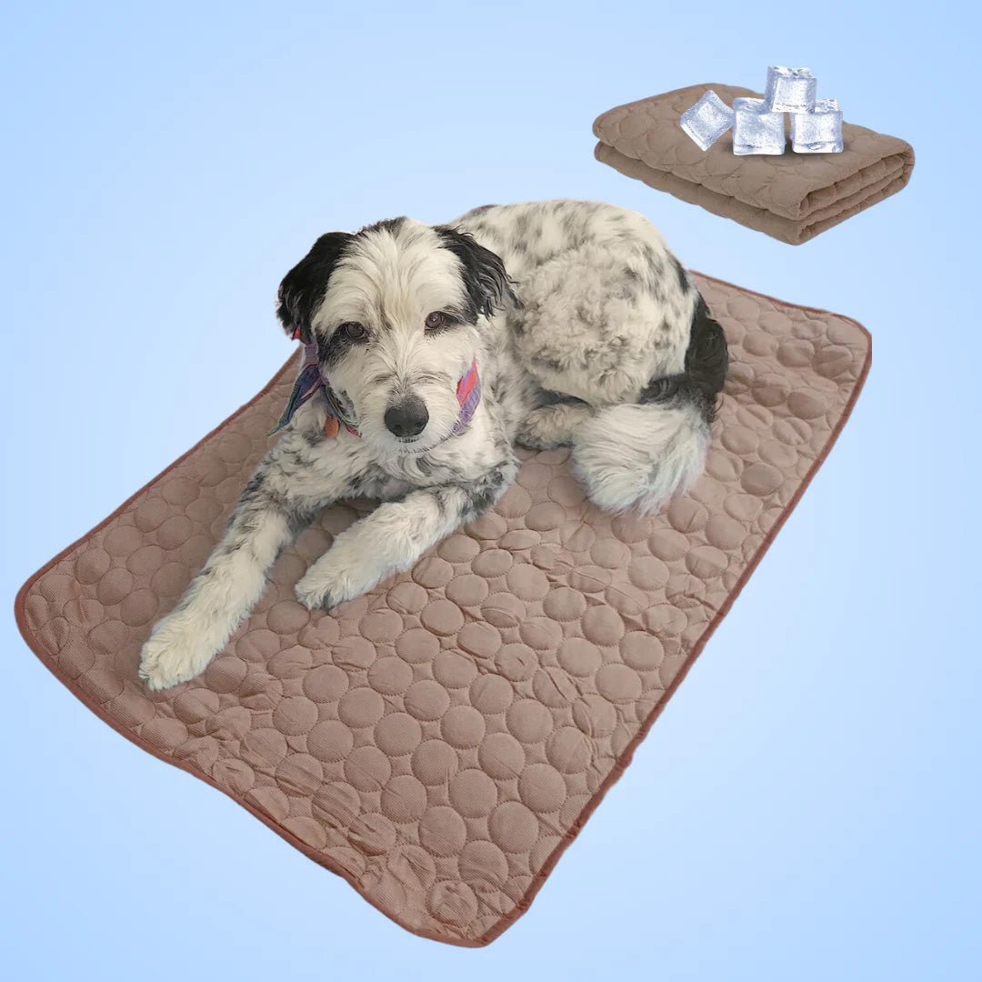 Selbstkühlende Hundematte mit Eis-Seite – Waschbar, Faltbar und Gesundheitsfreundlich für heiße Sommertage