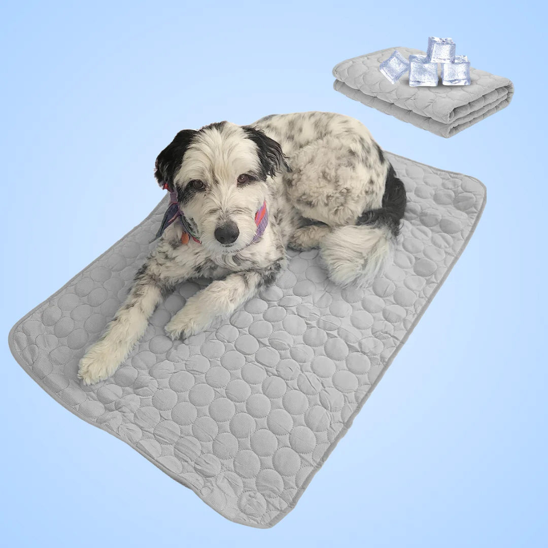 Selbstkühlende Hundematte mit Eis-Seite – Waschbar, Faltbar und Gesundheitsfreundlich für heiße Sommertage