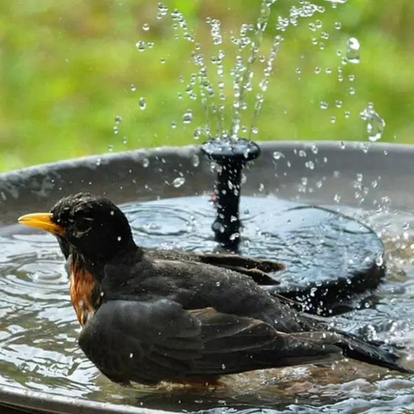 Solarbetriebene Springbrunnen für den Garten – energieeffizient, wartungsfrei, einstellbare Sprühmuster