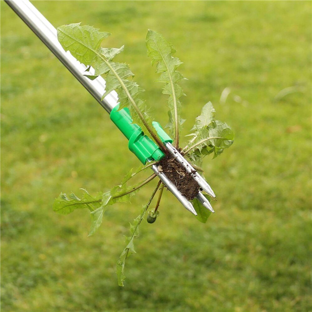Stehender Unkrautentferner mit Teleskopstiel – Ergonomisch, Effektive Wurzelentfernung für Müheloses Unkraut Entfernen im Garten