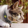 TrackCat | GPS-Katzenortungssystem mit Echtzeit-Updates 0